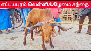 எட்டயபுரம் வெள்ளிக்கிழமை live goat market Live சந்தை விலை நிலவரம்