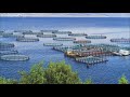 R177 Billion 🇿🇦Aquaculture Industry value by 2033 (Operation Phakisa)✔