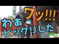 【旅動画】ぼくらは新世界で旅をする part 11【中国拉麺編】