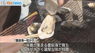 今が旬　門司港レトロで豊前一粒かきを堪能