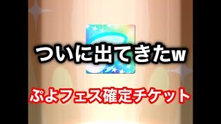 【ぷよクエ】ぷよフェス確定チケットで遂に出てきてしまったあのキャラw