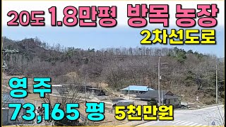 영주...73,165평 / 20도이하 1.8만평,, 2차선 도로 / 방목, 가축사육, 농장, 공장, 근생 /