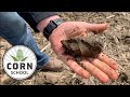 Corn School: Fit soil key to planting success