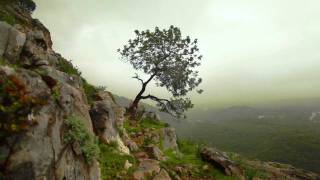 Enya - Storms in Africa HD