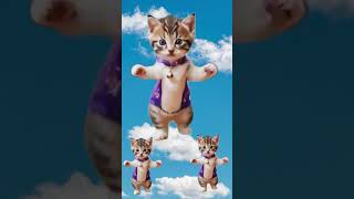 Cuteness Overload: Dancing Cats Edition! #adorablecat