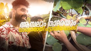 ഉമ്മാന്റെ ചെടി പ്രാന്ത് തീരുന്നില്ല | ഉമ്മാനേം കൂട്ടി ചെടി വാങ്ങാൻ ഇറങ്ങിയ ഞങ്ങൾ Hanan Shaah | Vlogs