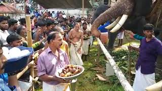 വള്ളുവനാട്ടിലെ പ്രസിദ്ധമായ കുന്നിൻമേൽ ഭഗവതി ക്ഷേത്രത്തിൽ നടന്ന 17-മത് ആനയൂട്ട് ആഘോഷം