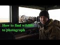 How to find wildlife to photograph.