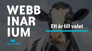 Webbinarium: Ett år till valet