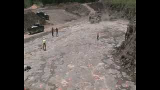 Gilboa fossil forest, Devonian age, New York State: field work 2010