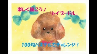 パステルアート118「トイプードル」の描き方　100均パステルでチャレンジ！楽しく描こう★