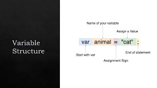 3 - Variables (Javascript Basics)