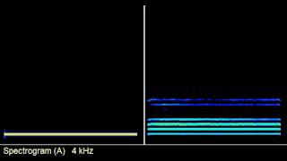Comparing Tone vs Voice in Spectrograph
