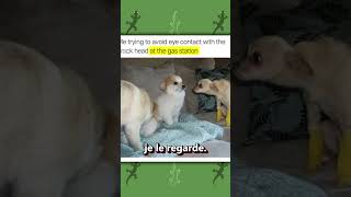 Reddit En Francais ! Memes Qui En Savent Trop !