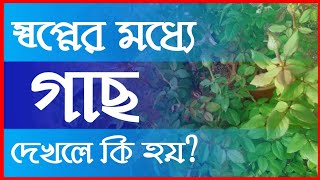 স্বপ্নে গাছ দেখলে কি হয়। Dreams About Trees।#স্বপ্নের_ব্যাখ্যা #স্বপ্নে_কি_দেখলে_কি_হয়।।