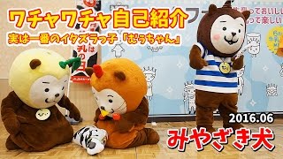 【みやざき犬】ワチャワチャ自己紹介：実は一番イタズラっ子むぅちゃん (201606)