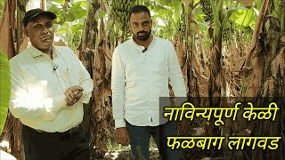 INOVATIVE BANANA CULTIVATION/MREG BANANA CULTIVATION SUBSIDY/नाविन्यपूर्ण केळी लागवड/एमआरइजीएसअनुदान