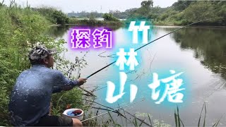 求解：探钓竹林山塘鱼情暴躁，渔人动用独门秘技仍无法达成目标