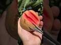 Modern Machinery for Cutting Fruits 🍅🍐🍊 #shorts #fruit #trendingvideo