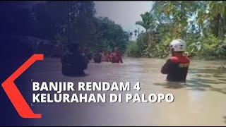 Sungai Meluap, 4 Kelurahan di Wilayah Kota Palopo Direndam Banjir