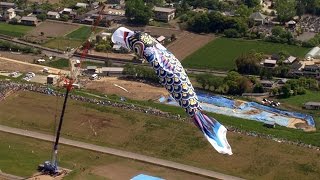 ジャンボこいのぼり、大空悠々　埼玉・加須