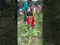 👨‍🌾暴龍小農夫拔呀拔蘿蔔👨‍🌾nov. 2018