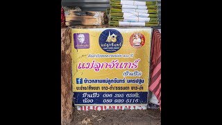 ข้าวหลามแม่ลูกจันทร์ หน้าห้างทองจินดา 5 ฝั่งตรงข้ามประตูทางเข้าองค์พระปฐมเจดีย์ นครปฐม #สตรีทฟู้ด