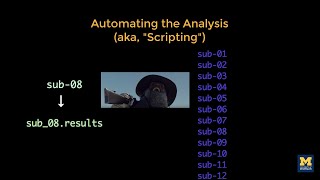 AFNI Tutorial #6: Scripting