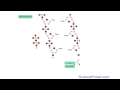 dna polymerase overview