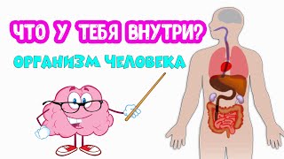 Организм ЧЕЛОВЕКА. Что у тебя внутри?