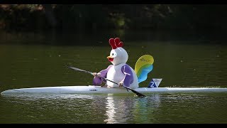 Canoe Sprint European Youth Olimpic Festival GYOR 2017