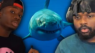 A WORLD WITHOUT SHARKS IS A COMPLETE NIGHTMARE (Casual Geographic)