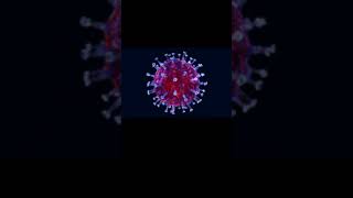 Omicron || Coronavirus ||live updates || omicron cases || #Coronavirus #Omicron #shorts #lockdown