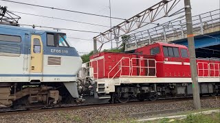 【貨物列車】R6.11.20   8865レ（稲沢→吹田タ）EF66ｰ119（サメ）＋ﾑﾄﾞDD200-23    大垣駅の近く定刻通過！