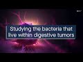 Understanding how bacteria within tumors contribute to digestive cancers