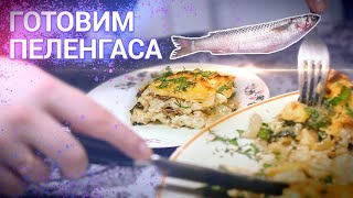 Готовлю рыбу | Пеленгас запеченный в духовке с луком и сыром | Сочное блюдо!