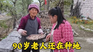 农村老人闲不住，都90岁了还在种地，看看她今年收了多少粮食？