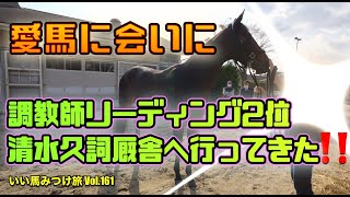 【競馬・馬主】愛馬に会いに❗️調教師リーディング2位清水久詞厩舎へ行ってきた‼️いい馬みつけ旅（Vol.161）