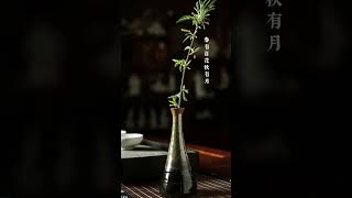 春有百花秋有月，夏有凉风冬有雪； 若无闲事挂心头，便是人间好时节。 #传统文化#古诗词#禅悟人生#茶生活#人生感悟