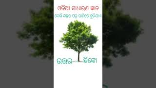 କେଉଁ ଗଛର ପତ୍ର ପାଣି ରେ ବୁଡିଯାଏ//odia gk short video//gk odia short video//#gkshorts#odiagk#gkodia