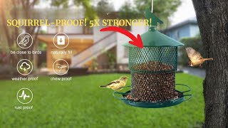 Heavy Duty Metal Bird Feeder Review: Why This is the LAST Feeder You’ll Ever Buy!