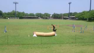 ドッグスポーツ解説（実演）・動物・学校・新潟・長野