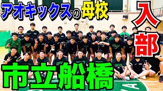 【バスケ】ついに！母校•市立船橋に体験入部!!  New市船ステップとは一体!?　basketball