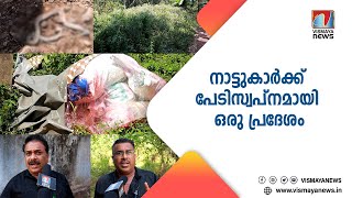 ഇഴജന്തുക്കൾ മുതൽ കാട്ടുമൃഗങ്ങൾ വരെ; ജീവനിൽ ഭയന്ന് വീടിനുപുറത്തിറങ്ങാതെ കുറെ മനുഷ്യർ