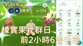 社群日前2小時入手6隻色違橡實果pokemon go20200524