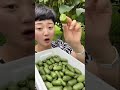 Small Kiwis fruit🥝/fruit garden/fruit farm/fruit world/Satisfying videos/sweet fruit/SP FRUIT WORLD