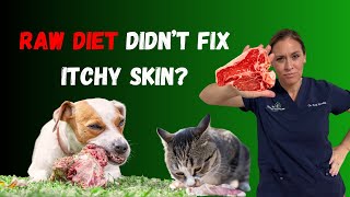 Why A Raw Food Diet Didn't Fix Your Pet's Itchy Skin - Holistic Vet Advice
