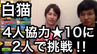 白猫 4人協力に2人で挑戦シリーズ [変異種編]