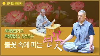 불꽃속에피는연꽃 1월 2일 저녁정진기도 | 스님과 함께하는 경전공부 및 좌선명상 | Guided Daily Meditation