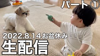 【生配信#34】はに丸家の休日【シーズー】パート①おもちゃで遊ぶぞー！（2022.8.14）